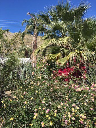 Moorten Botanical Garden and Cactarium